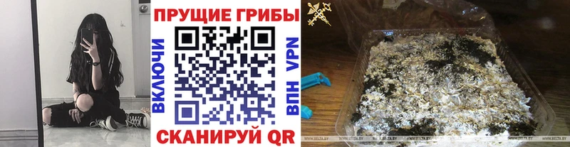 Псилоцибиновые грибы мицелий  где можно купить наркотик  MEGA как зайти  Облучье 